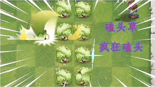 最新 植物爆料视频播放,最新爆料视频带你领略生命奇迹